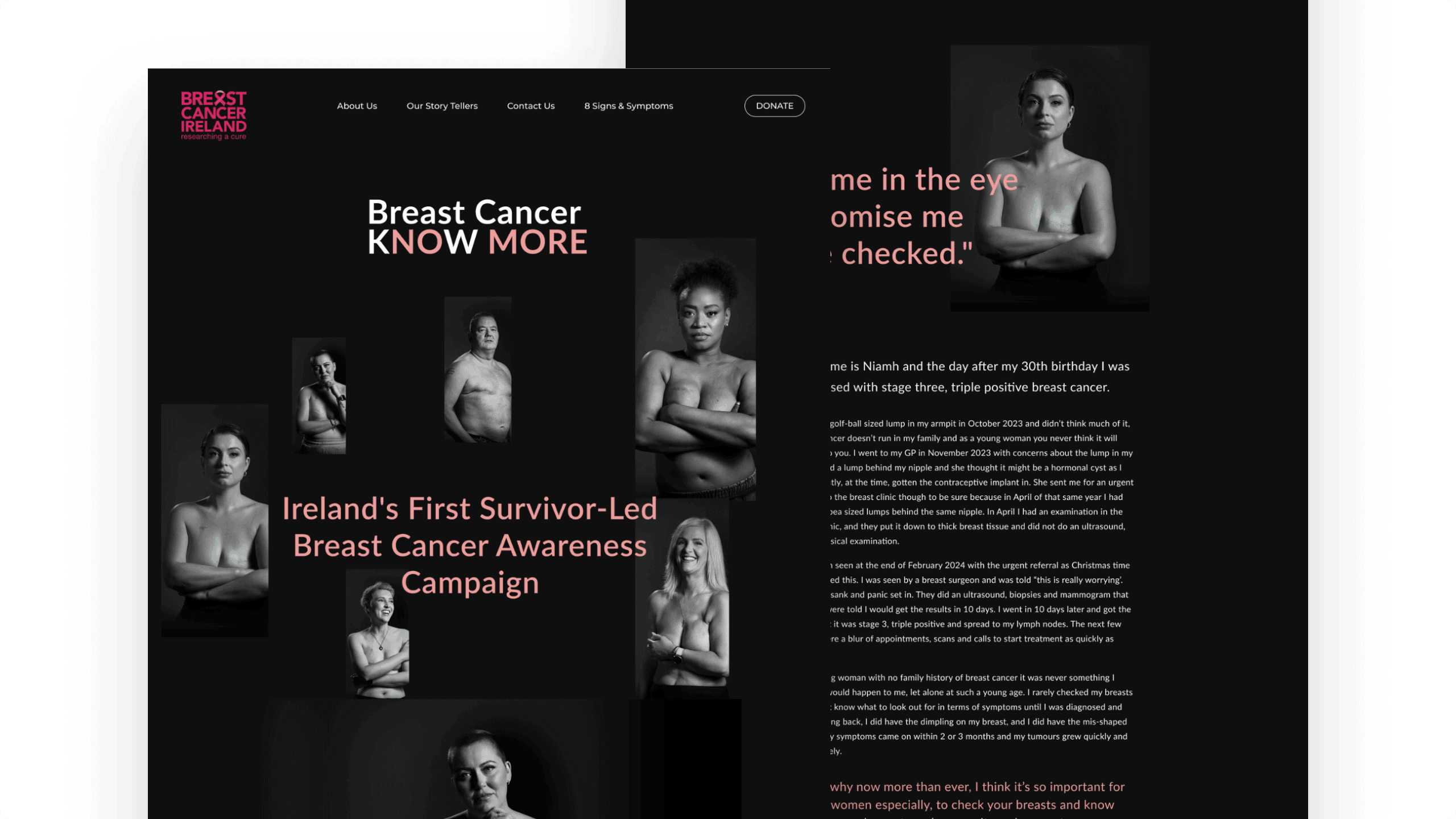Breast Cancer Ireland, Strategy